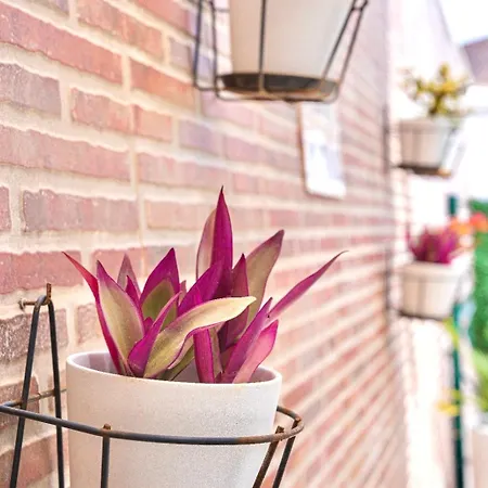 Dom wakacyjny Casa Mimar Moderna Y Acogedora