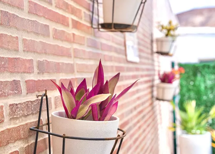 Nyaraló Casa Mimar Moderna Y Acogedora